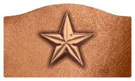 DASHELL-430-BZ-CP Star Bronze-Copper